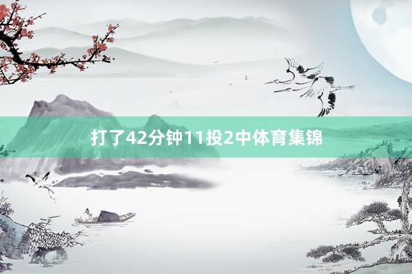打了42分钟11投2中体育集锦