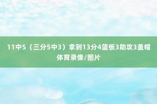 11中5（三分5中3）拿到13分4篮板3助攻3盖帽体育录像/图片