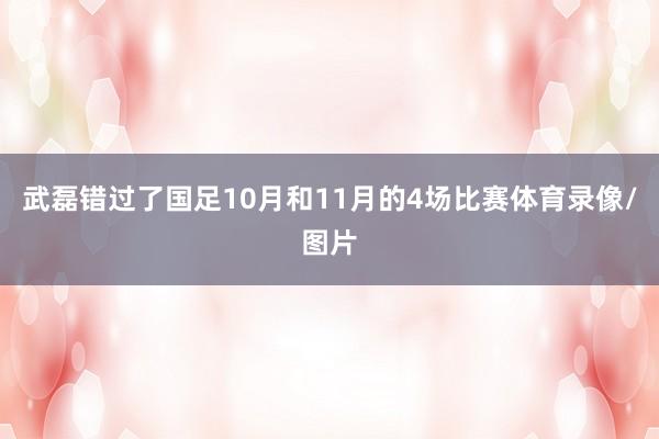 武磊错过了国足10月和11月的4场比赛体育录像/图片