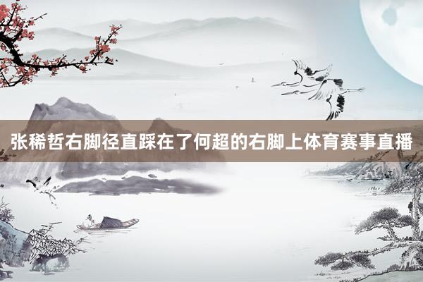 张稀哲右脚径直踩在了何超的右脚上体育赛事直播
