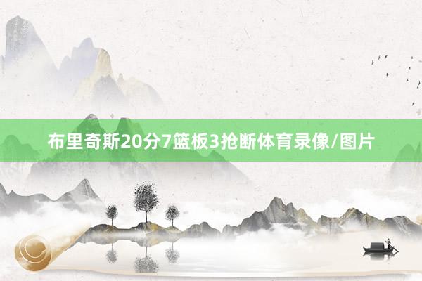 布里奇斯20分7篮板3抢断体育录像/图片