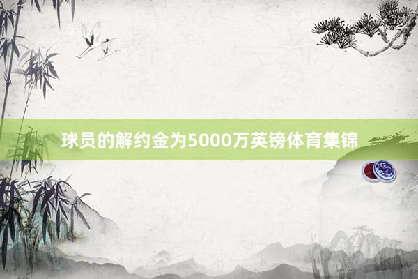 球员的解约金为5000万英镑体育集锦