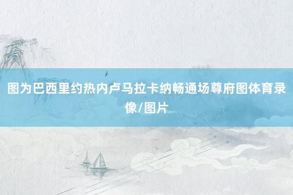 图为巴西里约热内卢马拉卡纳畅通场尊府图体育录像/图片