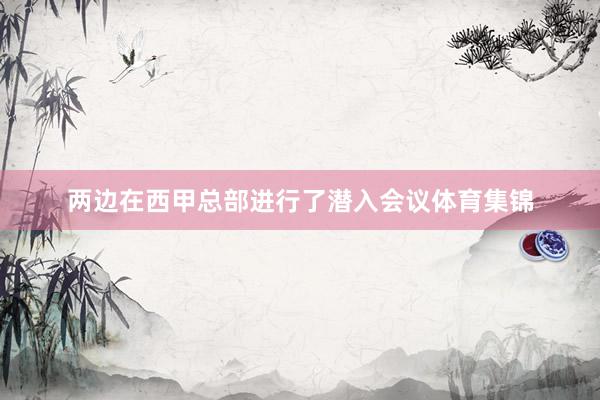两边在西甲总部进行了潜入会议体育集锦