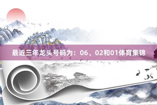 最近三年龙头号码为：06、02和01体育集锦