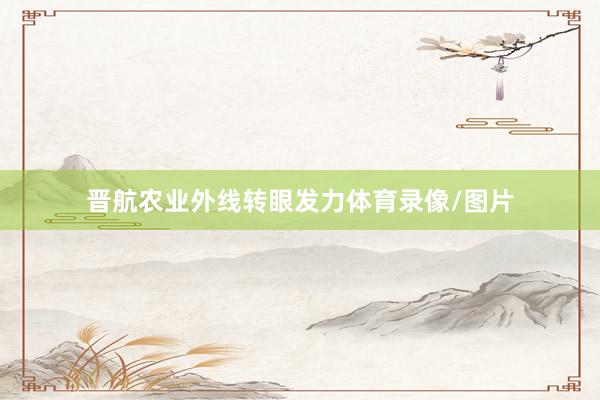 晋航农业外线转眼发力体育录像/图片