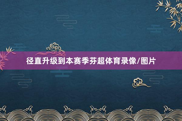 径直升级到本赛季芬超体育录像/图片