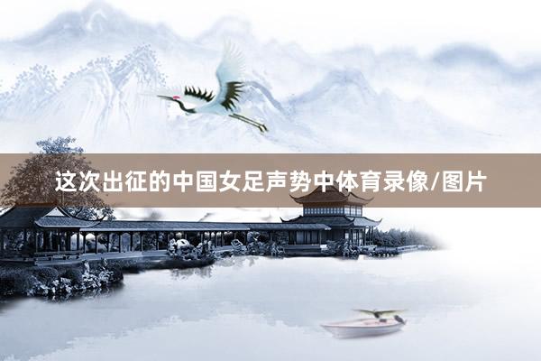 这次出征的中国女足声势中体育录像/图片