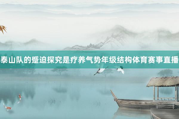 泰山队的蹙迫探究是疗养气势年级结构体育赛事直播