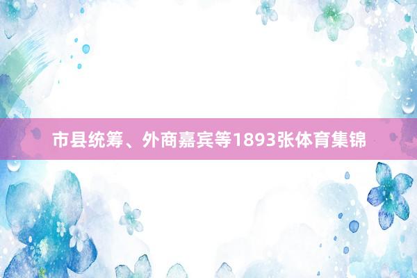 市县统筹、外商嘉宾等1893张体育集锦