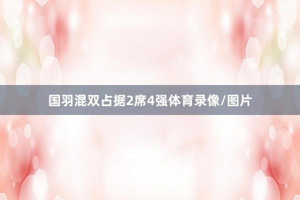 国羽混双占据2席4强体育录像/图片