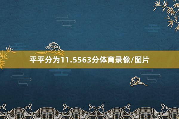平平分为11.5563分体育录像/图片