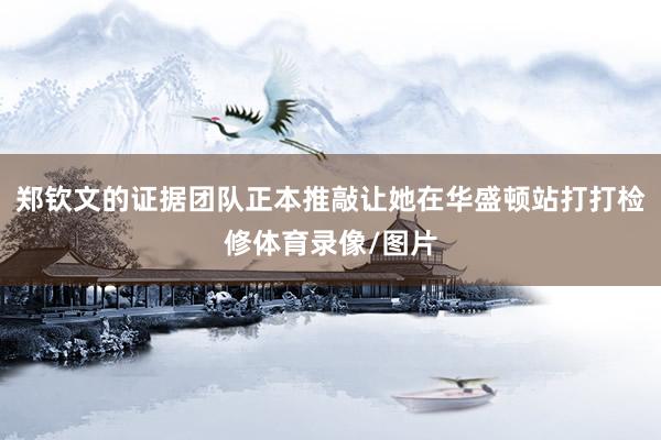 郑钦文的证据团队正本推敲让她在华盛顿站打打检修体育录像/图片