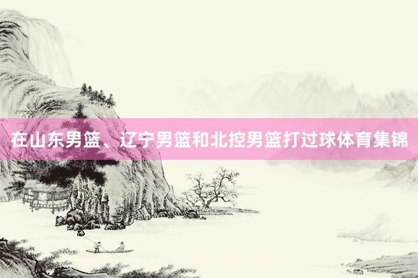 在山东男篮、辽宁男篮和北控男篮打过球体育集锦