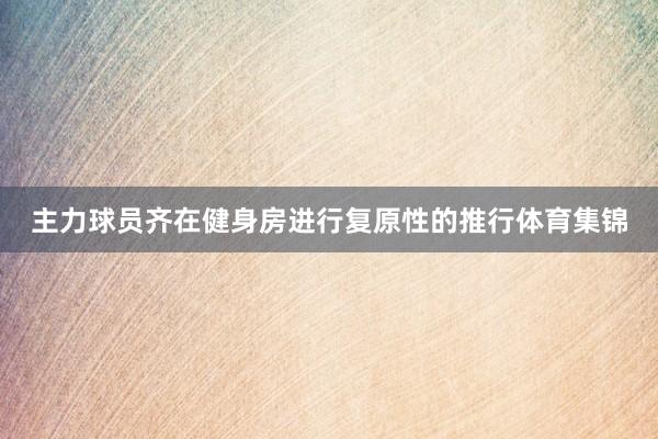 主力球员齐在健身房进行复原性的推行体育集锦