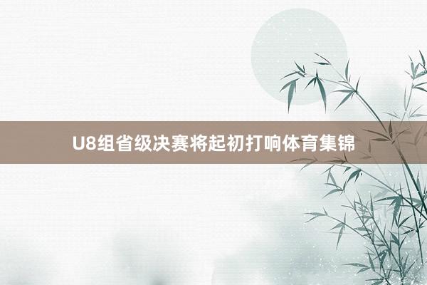U8组省级决赛将起初打响体育集锦