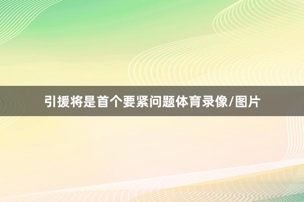 引援将是首个要紧问题体育录像/图片