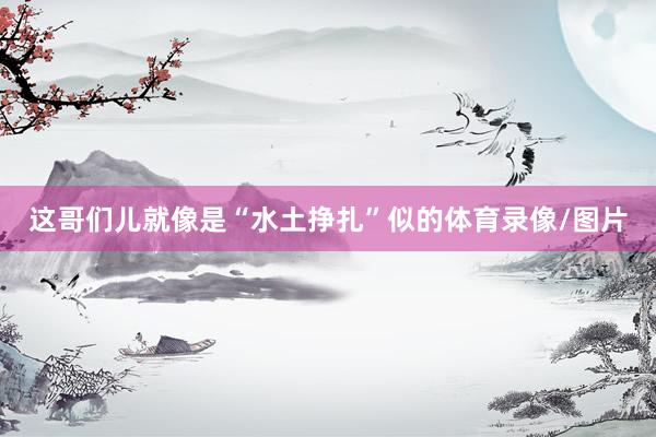 这哥们儿就像是“水土挣扎”似的体育录像/图片