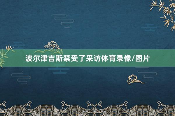 波尔津吉斯禁受了采访体育录像/图片