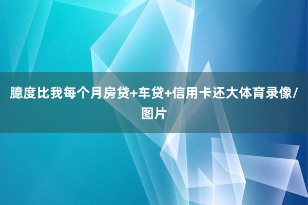 臆度比我每个月房贷+车贷+信用卡还大体育录像/图片