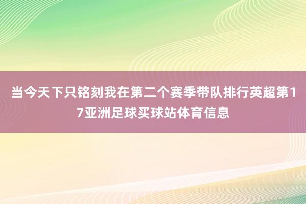 当今天下只铭刻我在第二个赛季带队排行英超第17亚洲足球买球站体育信息
